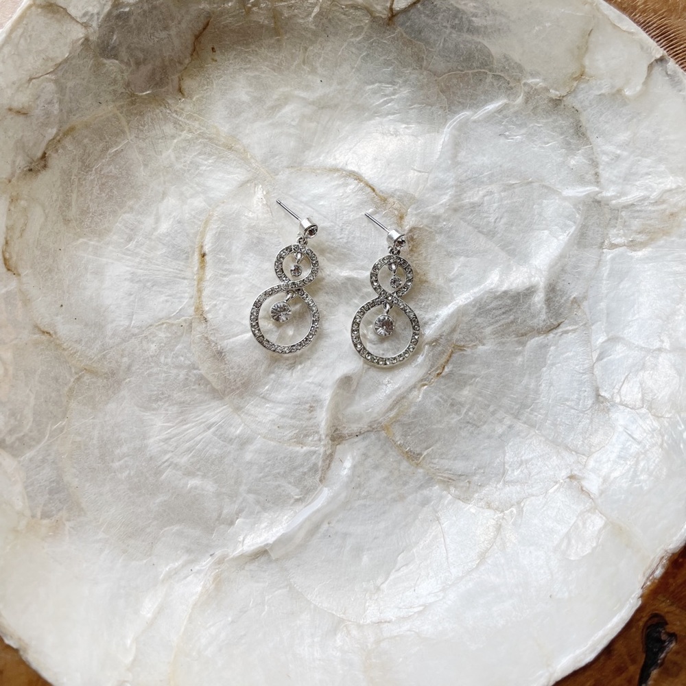 Pretty Circle Silver Jewel Earrings